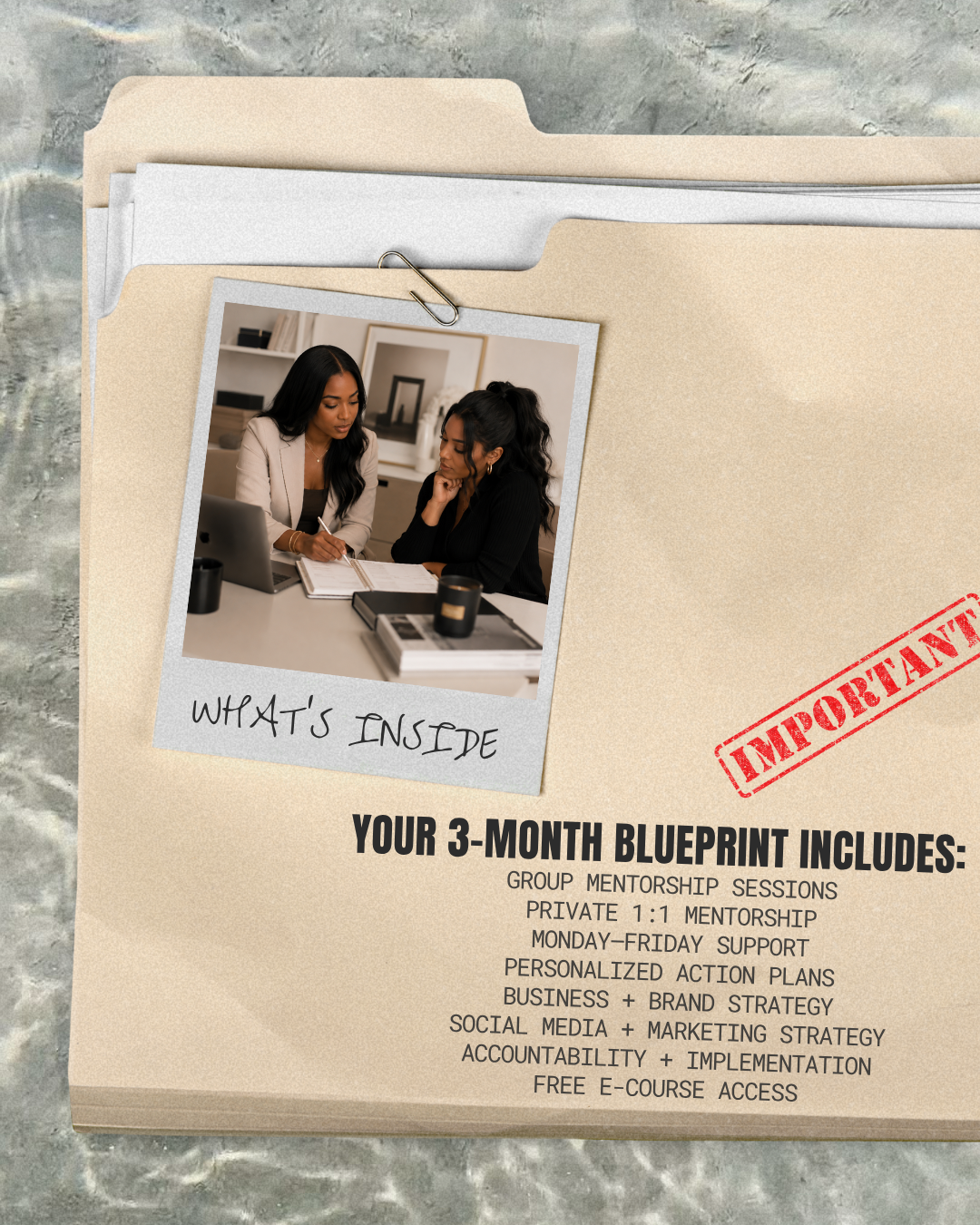The Royal Blueprint Mentorship